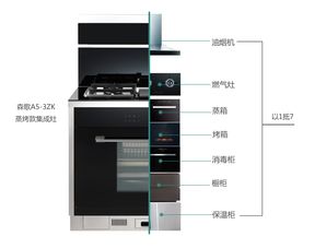 买什么款式集成灶实用（选购集成灶的实用指南）