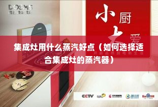 集成灶用什么蒸汽好点（如何选择适合集成灶的蒸汽器）