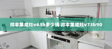 帅丰集成灶v63b多少钱 帅丰集成灶v73b90