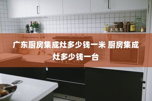 广东厨房集成灶多少钱一米 厨房集成灶多少钱一台