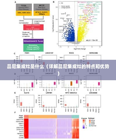 品尼集成灶是什么（详解品尼集成灶的特点和优势）