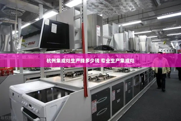 杭州集成灶生产线多少钱 专业生产集成灶