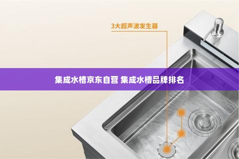 集成水槽京东自营 集成水槽品牌排名